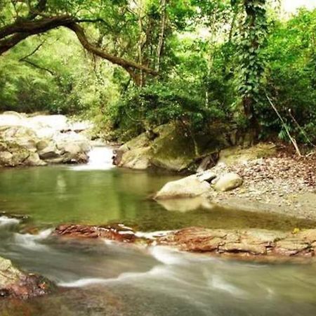 Vila Cabana Con Piscina En Minca Exteriér fotografie