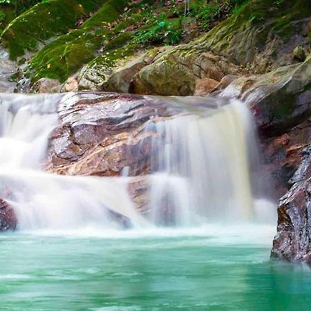 Vila Cabana Con Piscina En Minca Exteriér fotografie