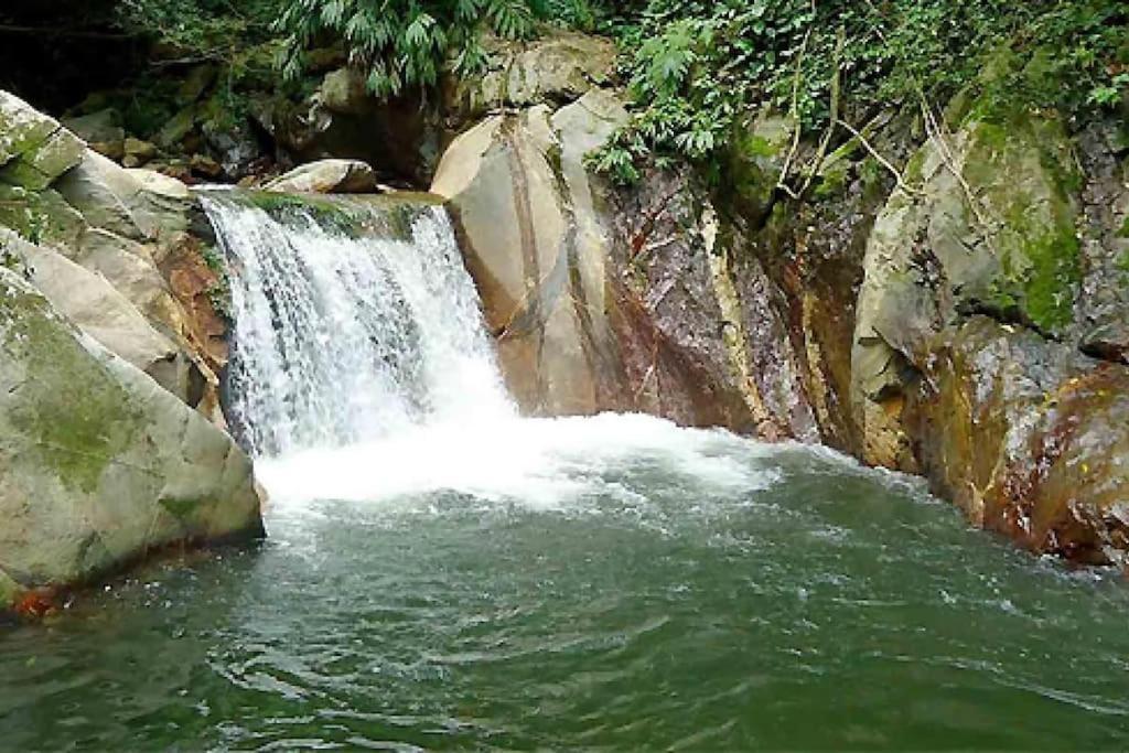 Vila Cabana Con Piscina En Minca Exteriér fotografie